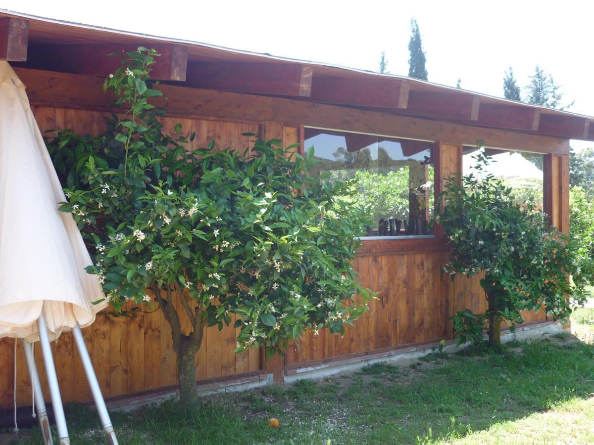 Bed and Breakfast Il Frutteto Torre delle Stelle Zewnętrze zdjęcie